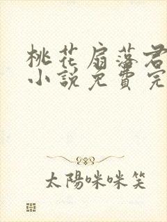 桃花扇落君不还小说免费完整版