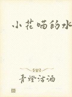 小花喵的水蜜桃