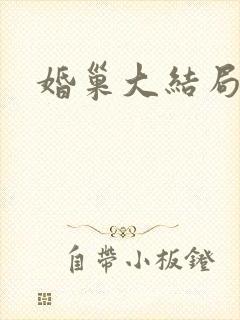 婚巢大结局封面