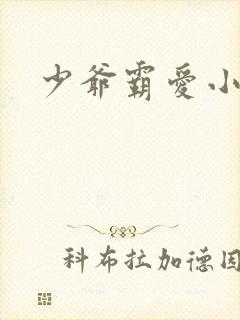 少爷霸爱小丫头