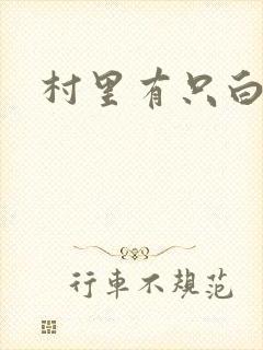 村里有只白骨精封面