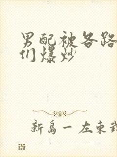 男配被各路大佬们爆炒