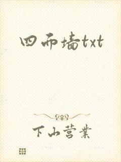 四面墙txt