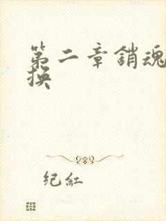 第二章销魂的交换封面