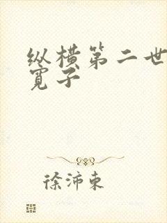 纵横第二世界 宽子