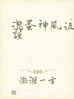 混蛋神风流史小说