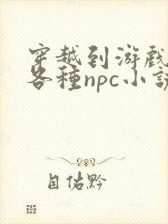 穿越到游戏里和各种npc小说封面