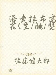 海棠抹布高岭之花(生/触/双)