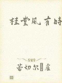 桂堂风有时封面