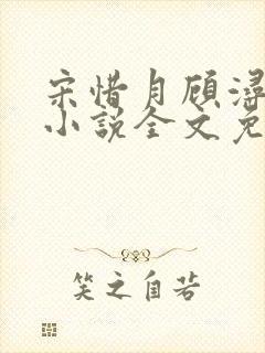 宋惜月顾浔渊的小说全文免费阅读封面