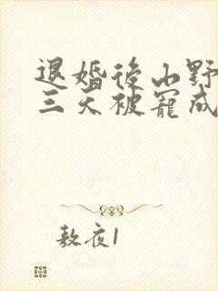 退婚后山野糙汉三天被宠成宝小说