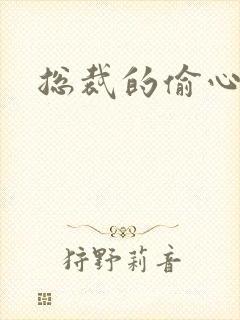 总裁的偷心娇妻