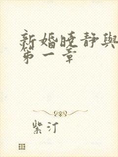新婚晓静与翁公笫一章