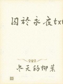 囚于永夜txt