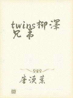 twins柳泽兄弟