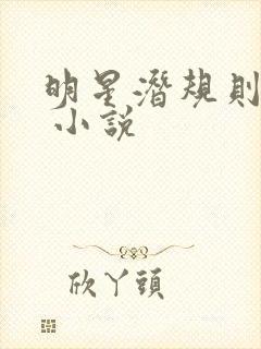 明星潜规则之皇 小说封面