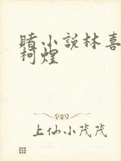 赌小说林喜朝和柯煜