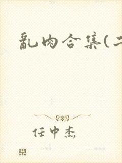 乱肉合集(二)封面