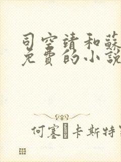 司空靖和苏月汐免费的小说笔趣阁封面