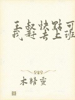 王叔快点可以吗我赶去上班