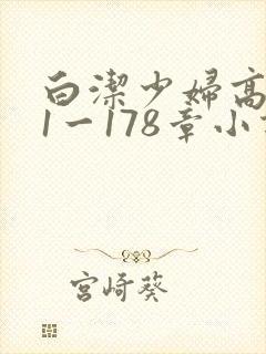 白洁少妇高义第1一178章小说封面