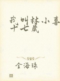 我叫林小喜今年十七岁封面