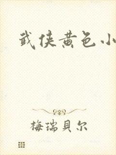 武侠黄色小说封面