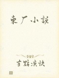 东厂小说封面