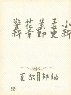 警花叶柔小说最新章节更新