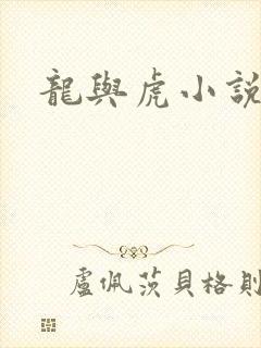龙与虎小说