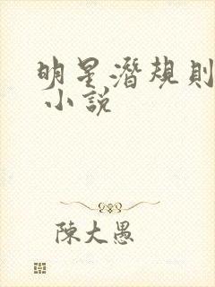 明星潜规则之皇 小说