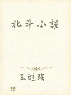 北斗小说