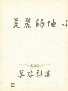 美丽的他 小说封面