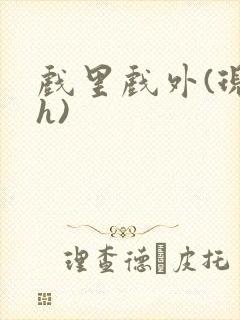 戏里戏外(现场h)