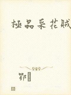 极品采花贼
