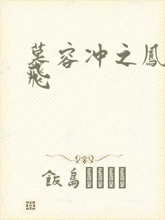 慕容冲之凤凰于飞封面