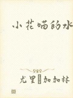 小花喵的水蜜桃封面