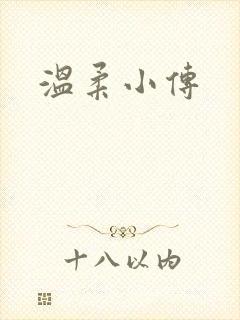 温柔小传