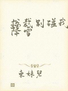 总裁别碰我 韩降雪封面