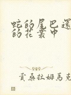 蛇的尾巴还在我的花丛中