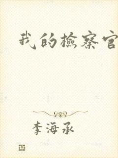 我的检察官先生