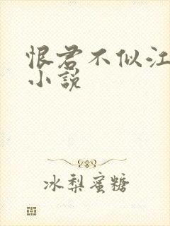 恨君不似江楼月小说