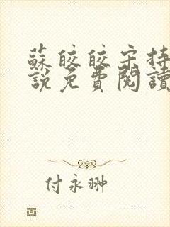 苏皎皎宋持的小说免费阅读