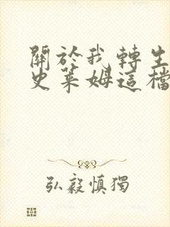 关于我转生变成史莱姆这档事小说