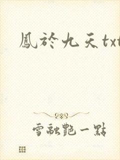 凤于九天txt