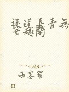 逐道长青无删减笔趣阁
