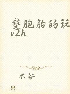 双胞胎的玩具1v2h