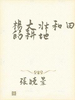 杨大壮和田桂花的耕地封面