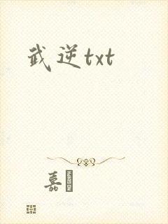 武逆txt封面