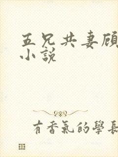 五兄共妻顾心儿小说